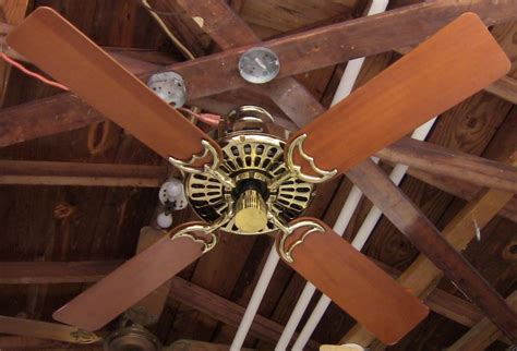 An owner turned on the ceiling fan and these two cute cats can handle it. Hunter Original Ceiling Fan Cat. No. 25574-001