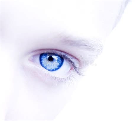 Forever Blue Eye Stock Image Image Of Focus Glimpse 1311339