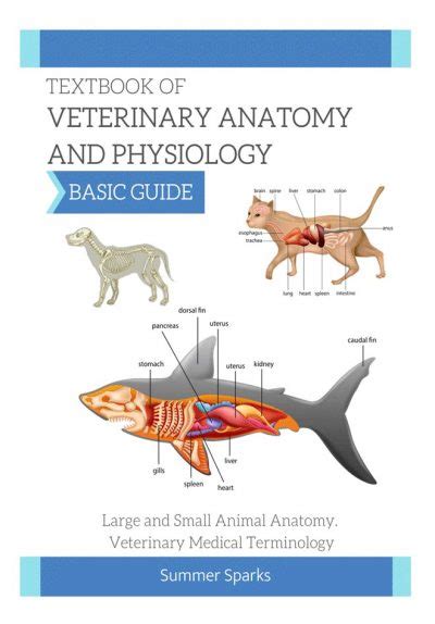 Veterinary Physiology Vetbooks