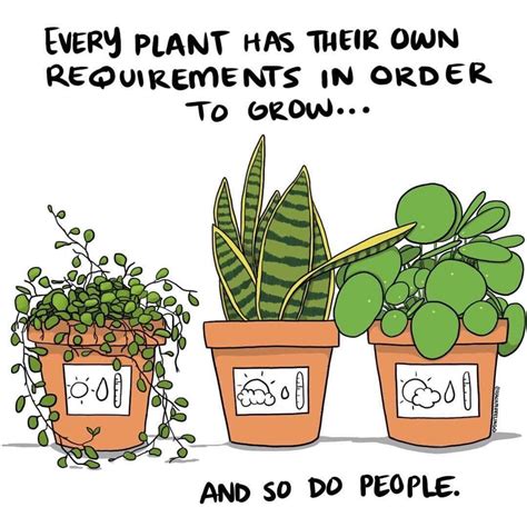 Every Plant Has Their Own Requirements In Order To Grow And So Do