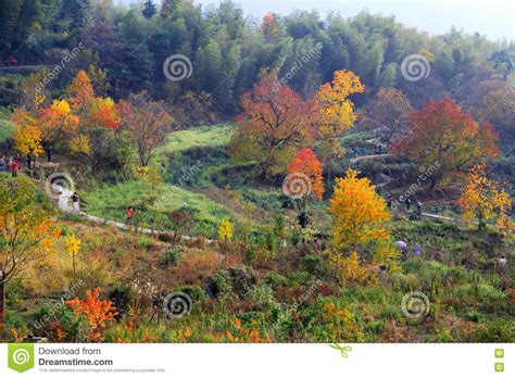 Colorful Autumn Scenery In Tachuan Stock Image Image Of China