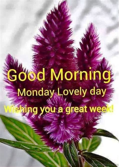 236 Good Morning Monday Images Photos Pics Wallpapers And Wishes