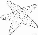 Starfish Seestern Cool2bkids Ausmalbilder Whitesbelfast sketch template