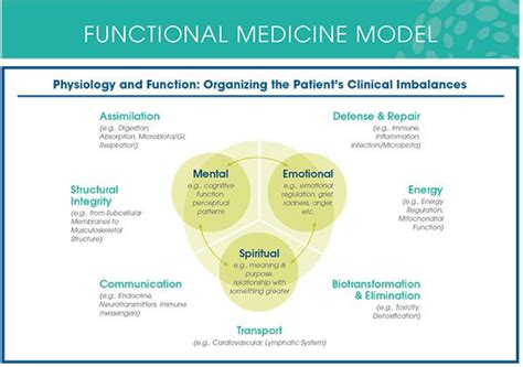 We are a functional and integrative clinic that cares deeply about our patients and their ability to live a life full of wellness and longevity. An Integrated Model of Wellness for Difficult Times ...