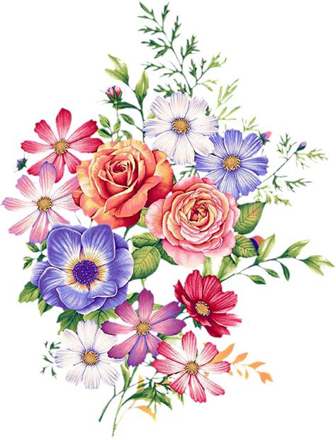 Pin By Suleman Ali On Flowers With Images Flower Drawing Flower