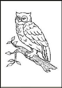 Malbuch 58 Malvorlagen "Tiere im Zoo" Ausmalbilder als PDF ...
