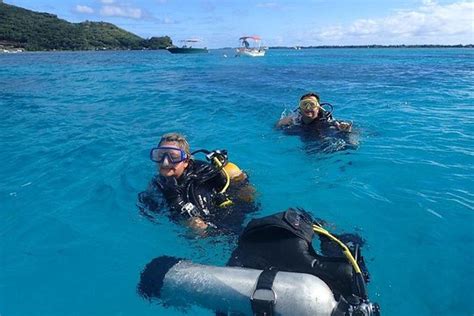 Tripadvisor Bora Bora Scuba Diving Private Intro Or Certified One
