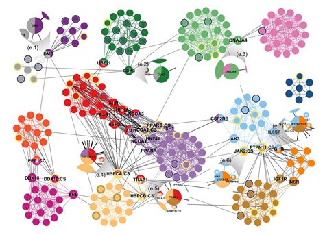 Protein Protein Interaction Network Comprising 1253 Weighted