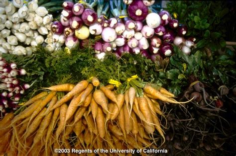Uc Master Gardeners Diggin It In Slo Agriculture And Natural