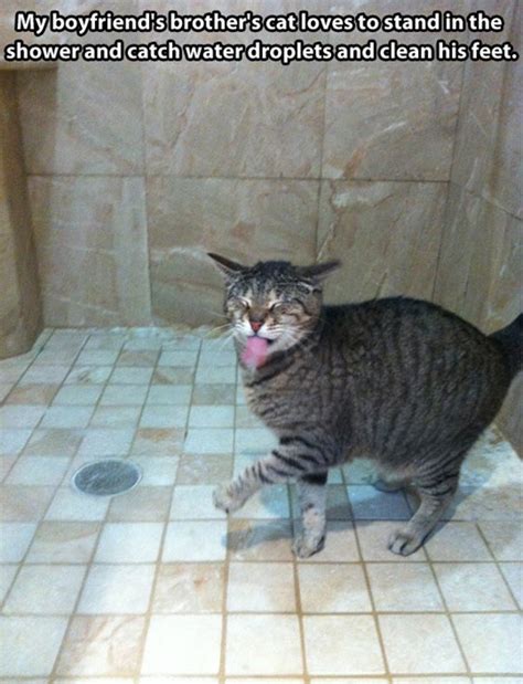 17 Very Funny Shower Pictures And Photos