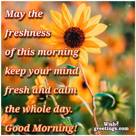 Sweet Good Morning Messages Wish Greetings
