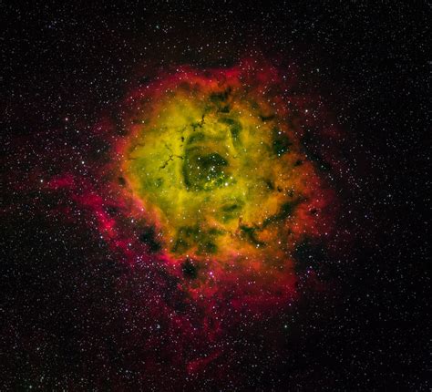 Rosette Nebula Telescope Live