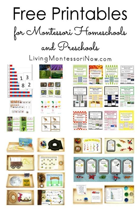 Free Montessori Printables Pdf Customize And Print