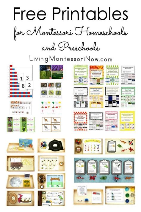 Free Printables for Montessori Homeschools and Preschools | Montessori