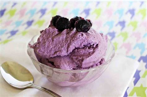 Low Carb Blueberry Ice Cream Recipe Rushcutters Health Recipes