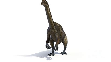 Therizinosaurus Photograph By Sebastian Kaulitzkiscience Photo Library