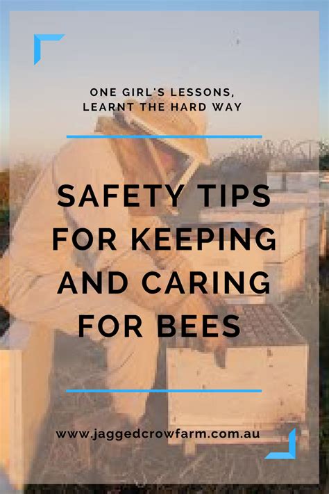 Safety Tips For Keeping Bees