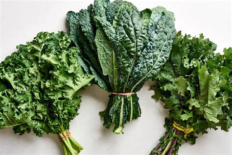 Whats The Difference Between Curly Tuscan And Russian Red Kale Kitchn