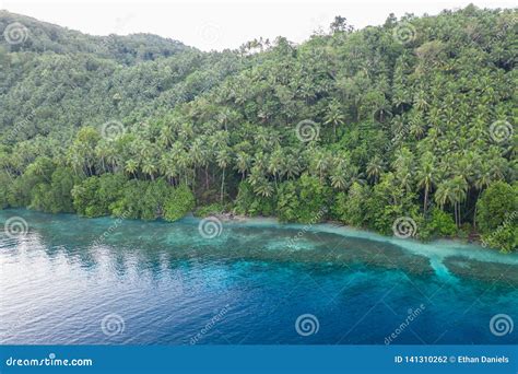 Aerial Of Tropical Island Shoreline In Papua New Guinea Stock Photo