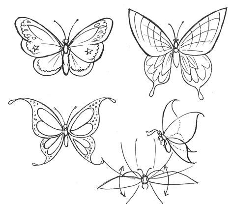 Butterfly drawing easy methods : How To Draw A Butterfly