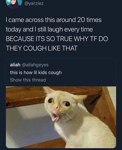 Coughing Cat Meme Real Code Vlog Slideshow