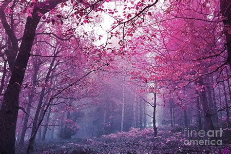Pink Forest Digital Art By Scottyworld Artists Fine Art America