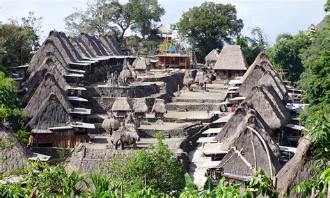 All Bajawa Info Private Indonesia Roundtrips Merapi Tour And Travel