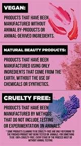 Cruelty Free Vegan Makeup Brands
