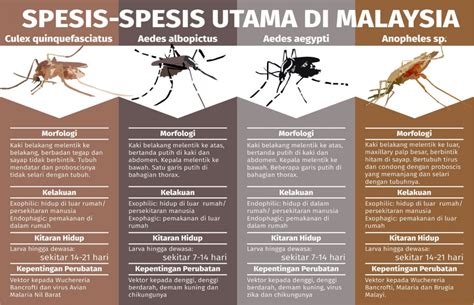 Apa itu Penyakit Bawaan Vektor? - Root of Science