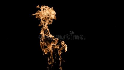 Fire Flames On Black Background Fire On Black Background Isolated