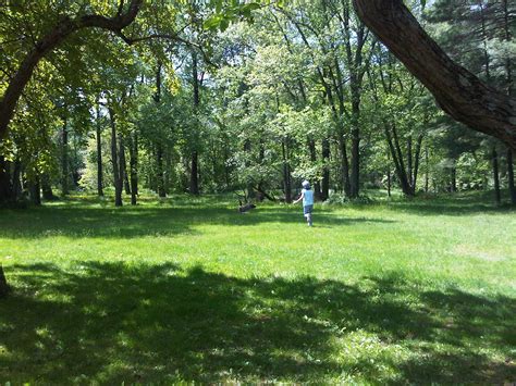 Brookfield Hiker's Guide: Harrybrooke Park | Brookfield, CT Patch