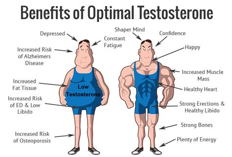 How To Boost Testosterone Naturally Paula Owens MS