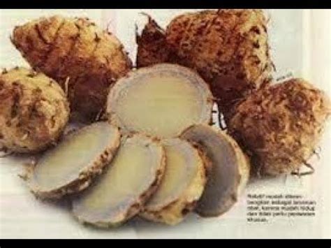 Kudis buta vs scabies jangan lupa follow klinikummah/ klinikummah. Ubat Untuk Hilangkan Kudis Buta - Contoh Sur