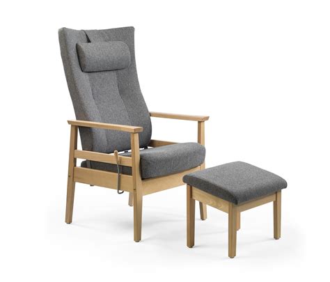 What size person is this chair suitable for? High Seat Chairs For The Elderly | Chair, Furniture care ...