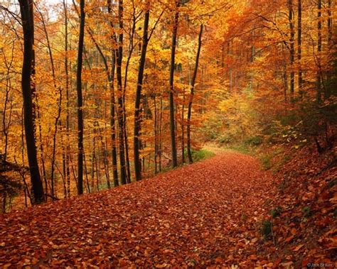 9 Incredible Places To See Autumn Colours This Year