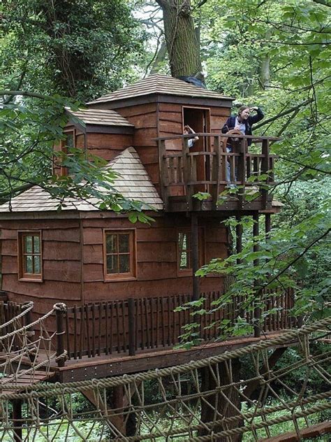 39 Amazing Tree Houses Everyone Wished They Had Growing Up The gloucester tree is a giant karri tree in the gloucester national park of western australia.