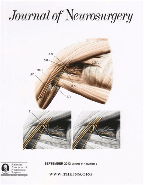 Pdf Axillary Nerve Repair By Fascicle Transfer From The Ulnar Or