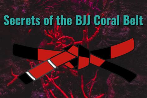 Bjj Coral Belt Complete 30 List And Jiu Jitsu Belt Rankings