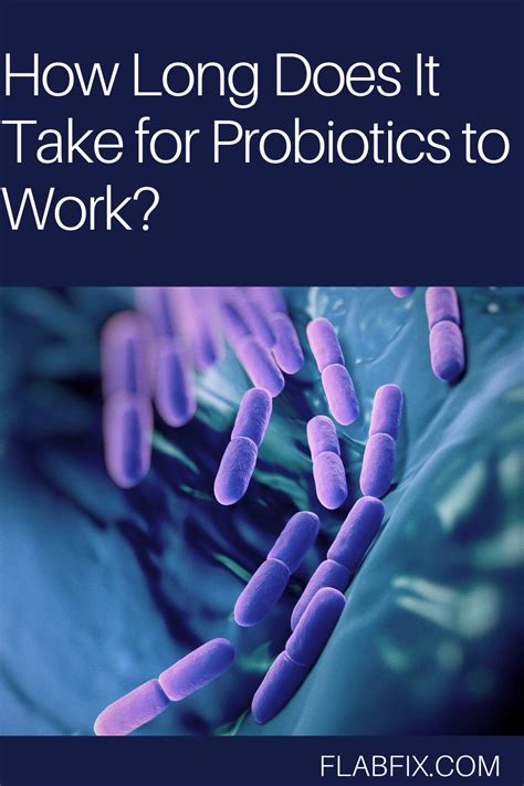 However, keep in mind that this will vary from. How Long Does It Take for Probiotics to Work? - Flab Fix