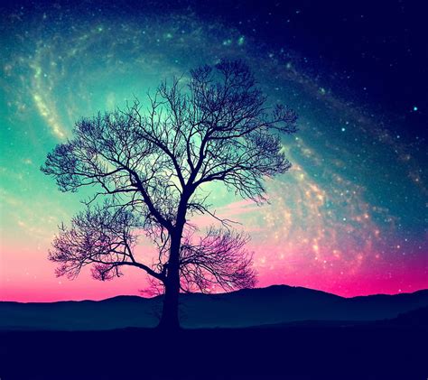 Tree Abstract Field Galaxy Night Hd Wallpaper Peakpx
