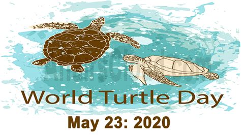 World Turtle Day 2020 May 23