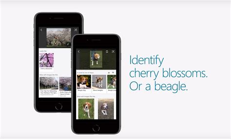 Microsoft Launches New Bing Visual Search Features On Android And Ios