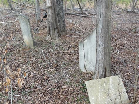 Payne Winn Cemetery In Paynes Mill Virginia Find A Grave Cemetery
