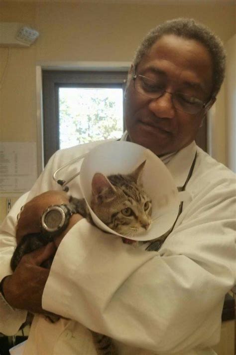 3077 tlc__pet_care_liverpool фотографии, добавленные недавно. Veterinary services Cincinnati |TLC Pet Care Centers