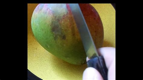 Allergic Reaction On Lips From Mango Tree Sap