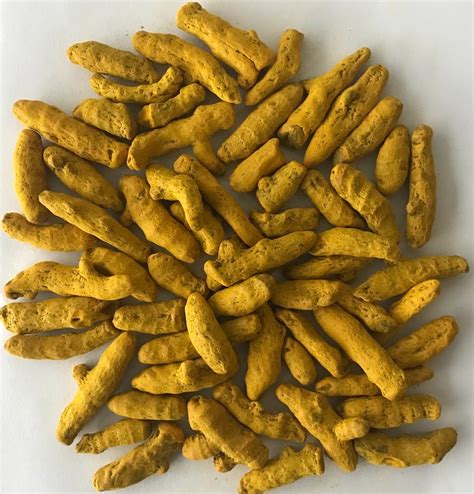 Dried Turmeric Finger For Cooking Medicine Packaging Size Kg Rs