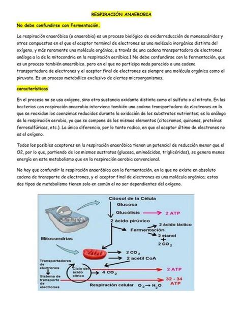 respiración anaerobia biología Jorge MDTXpe uDocz