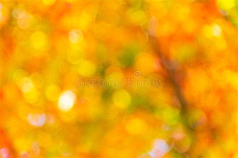 Blurred Bokeh Colorful Autumn Leaves Background Stock Photo Image Of
