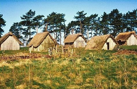 A Row Of Thatched Roofed Houses In A Grassy Field With Trees In The