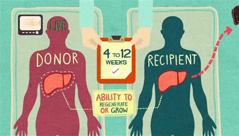 become an organ donor and save up to 8 lives